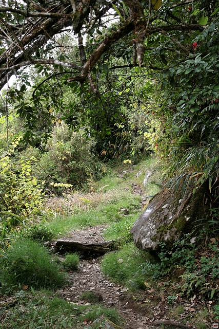 img00013.jpg