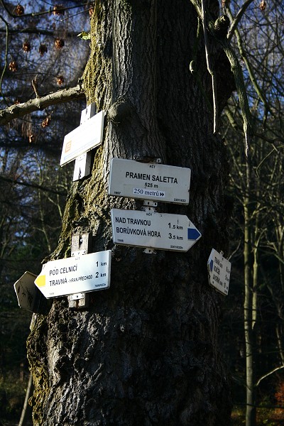 img00002.jpg
